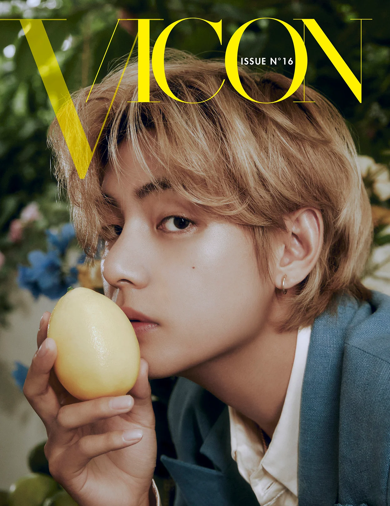 DICON - ISSUE N°16 V : VICON A-type