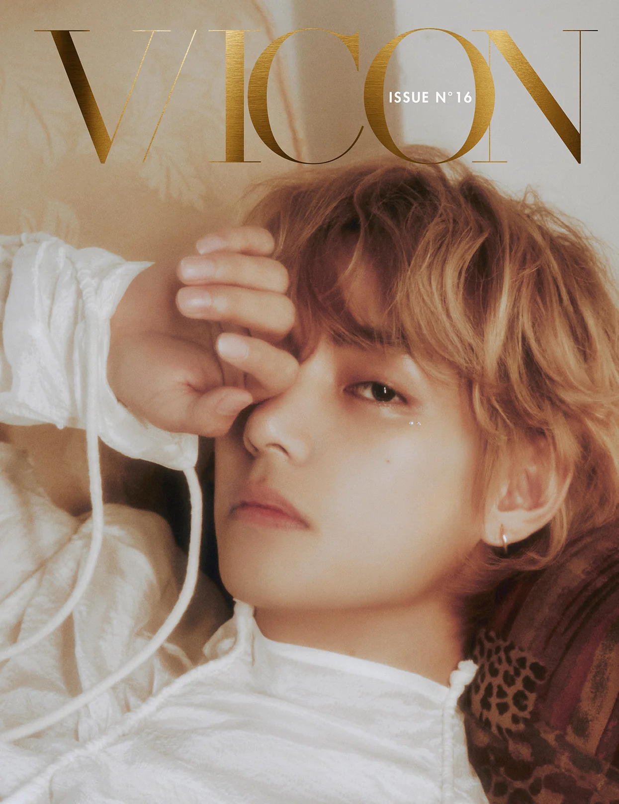 DICON - ISSUE N°16 V : VICON C-type