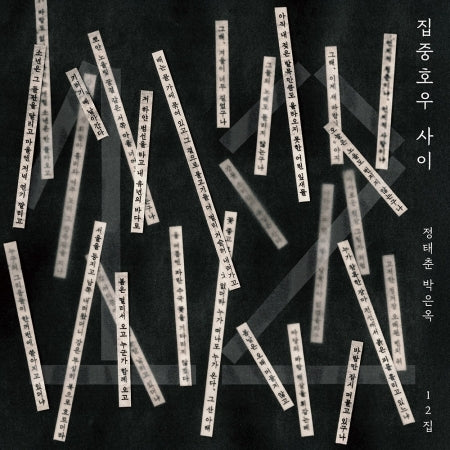 JEONG TAE CHUN, BAK EUN OK - [IN BETWEEN TORRENTIAL RAIN] 12th Album LP