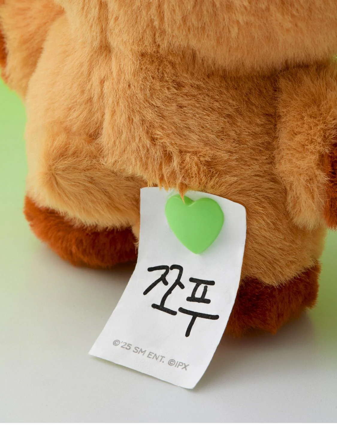 NCT DREAM - [Dreamiez] jjopoo PLUSH - Image 2